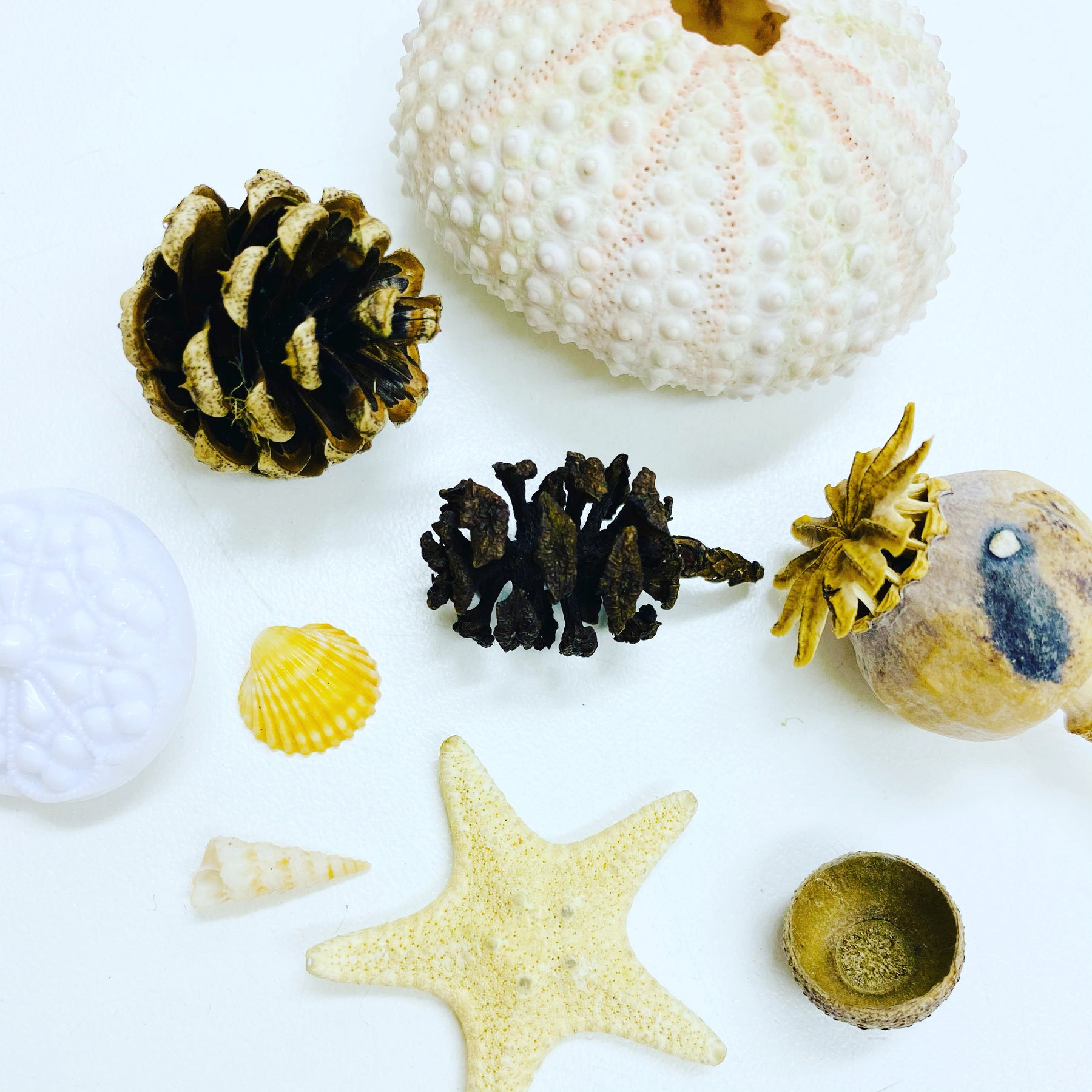 Using Found Objects with Metal Clay