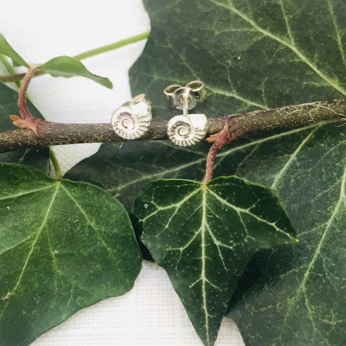 Ammonite Stud Earrings