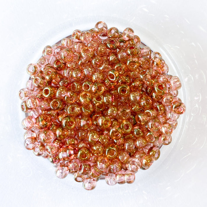 Size 6 Seed Beads - Czech